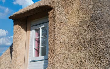 Brinsworthy thatch roof disadvantages