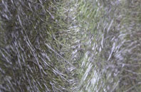 Brinsworthy fibreglass roof work